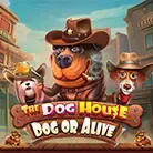 The Dog House – Dog or Alive game icon